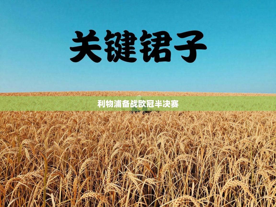 利物浦备战欧冠半决赛  第2张