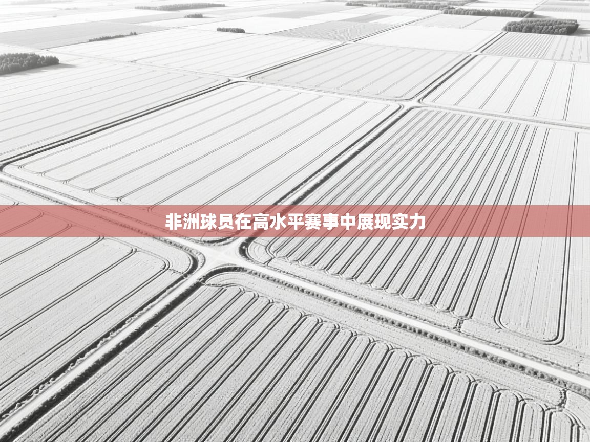 非洲球员在高水平赛事中展现实力  第1张